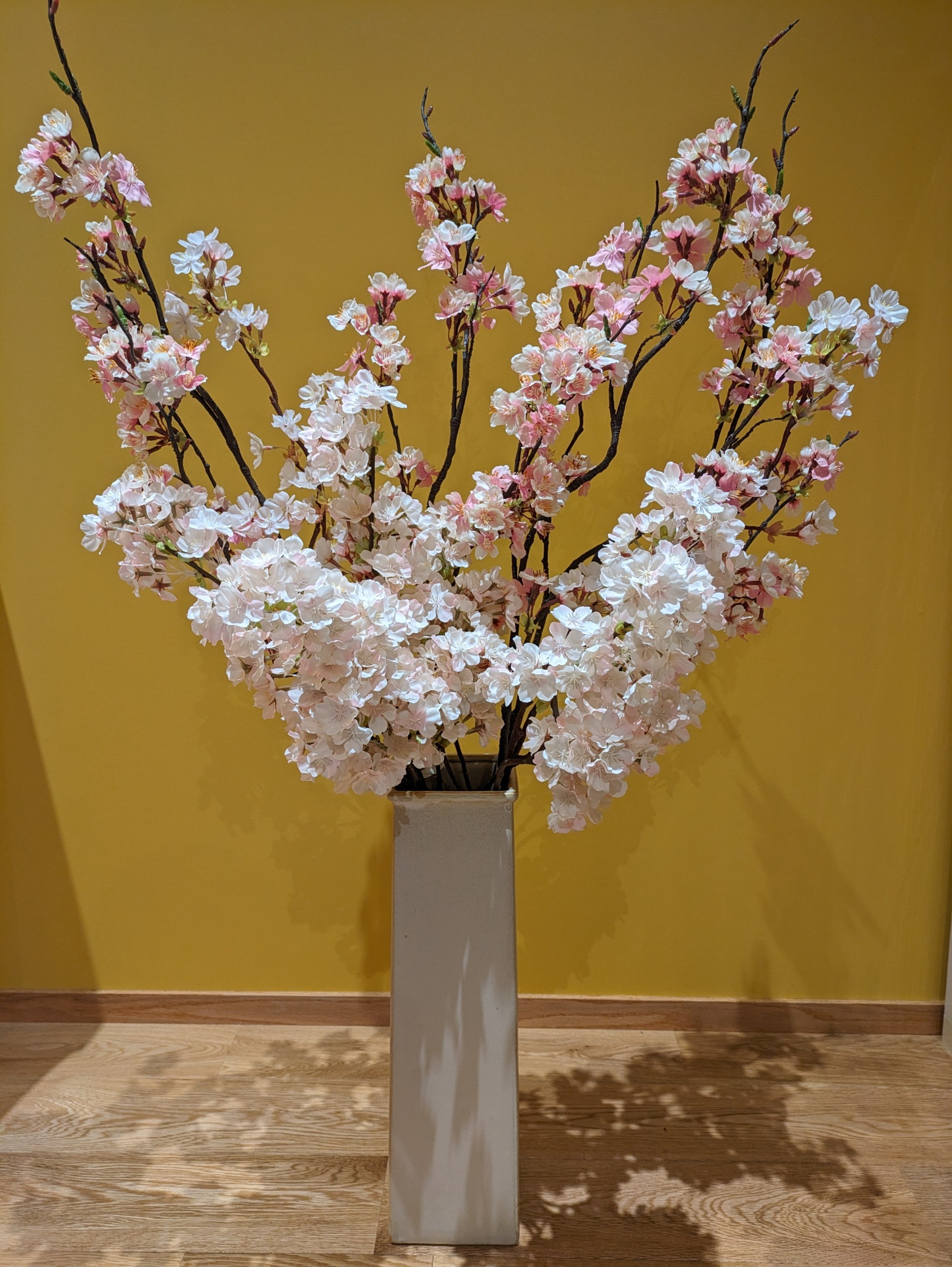 今月の花