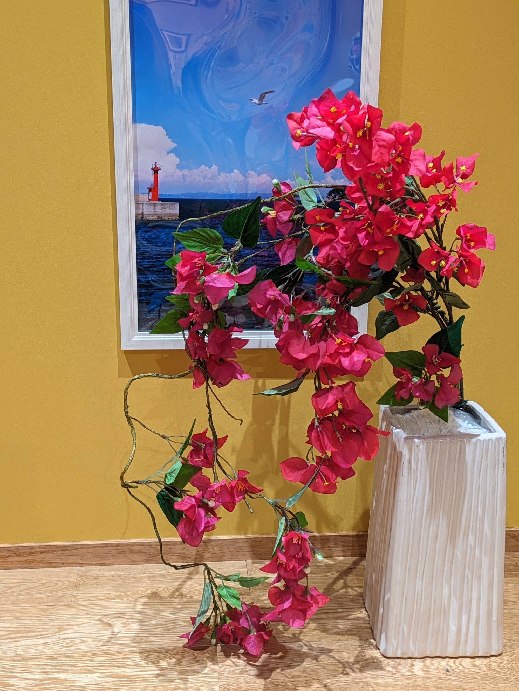 花の紹介